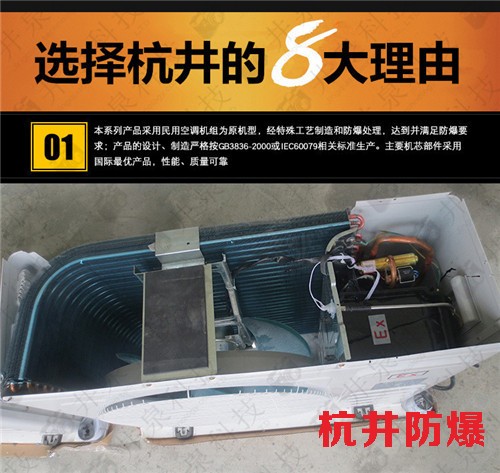 冷庫房防爆空調(diào)機(jī)案例圖